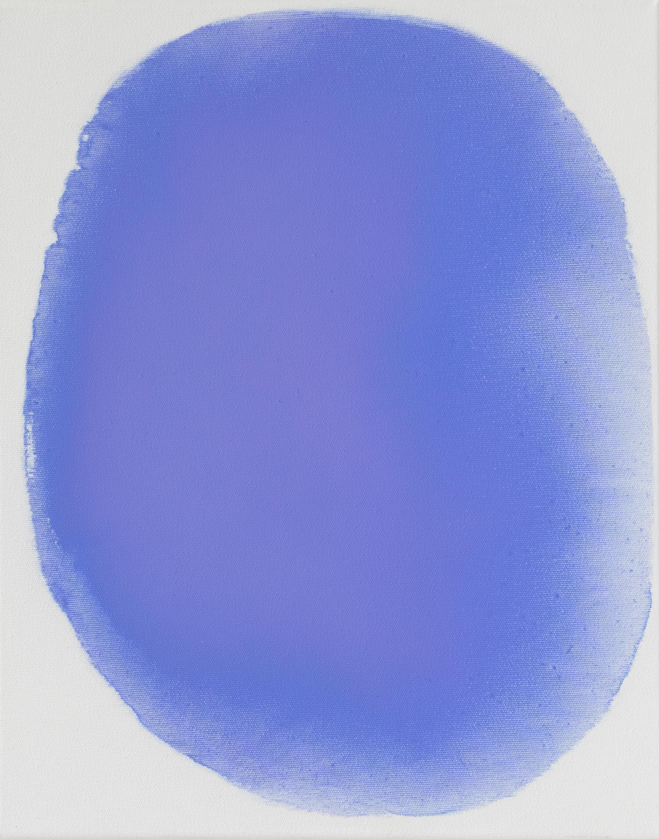 Myosotis / Forget Me Not