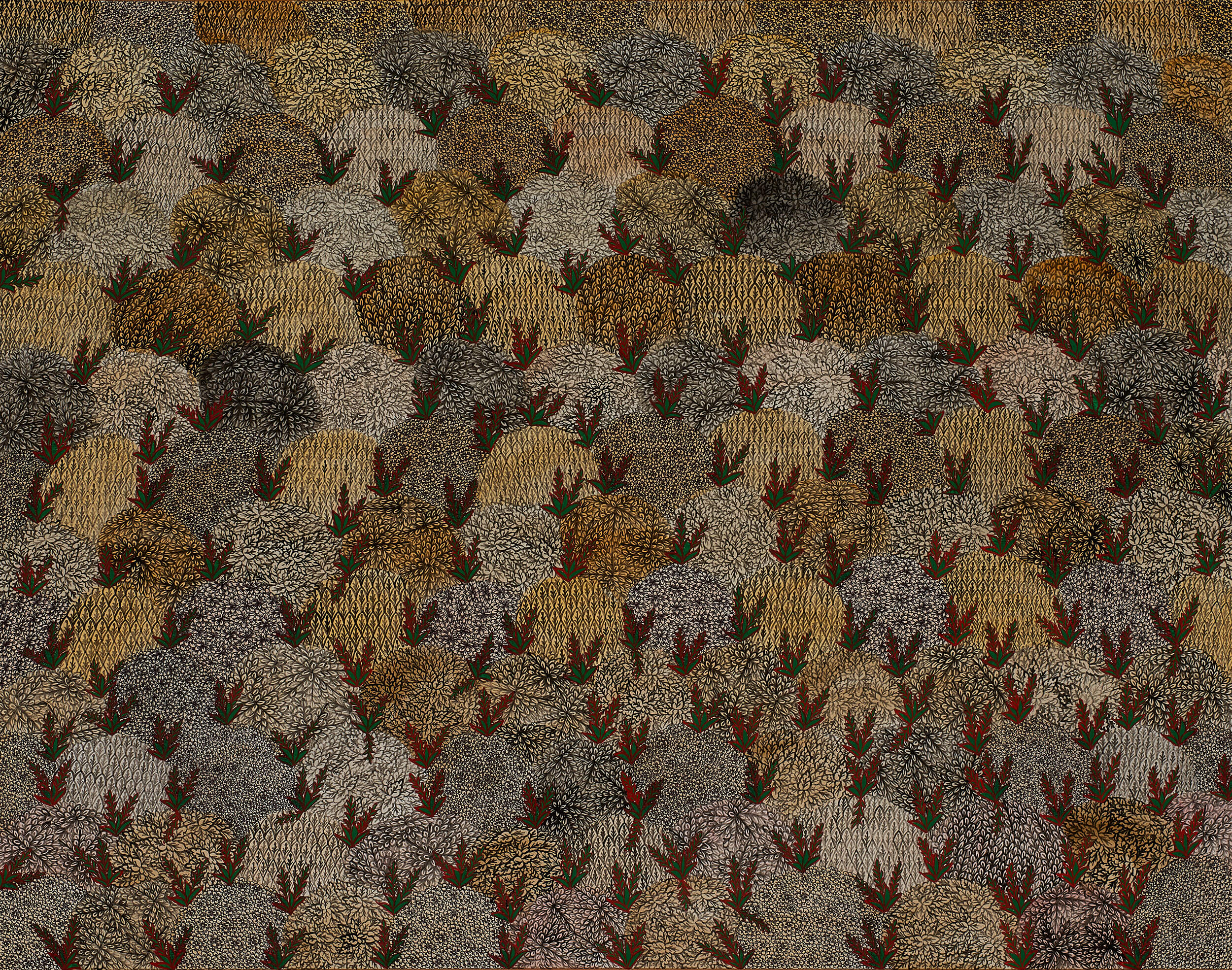 Desert | 2026